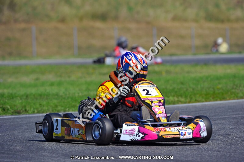 DSC_ (1354).jpg